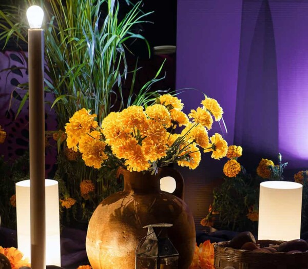 Orbit Event Rentals -Color Schemes That Pop in Photos
